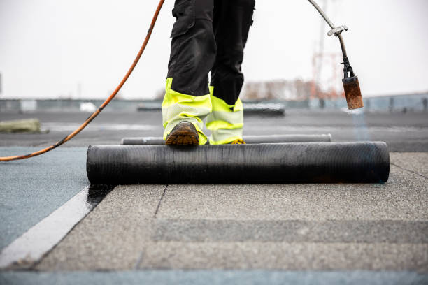 Professional Roofing Services in Los Chaves, NM